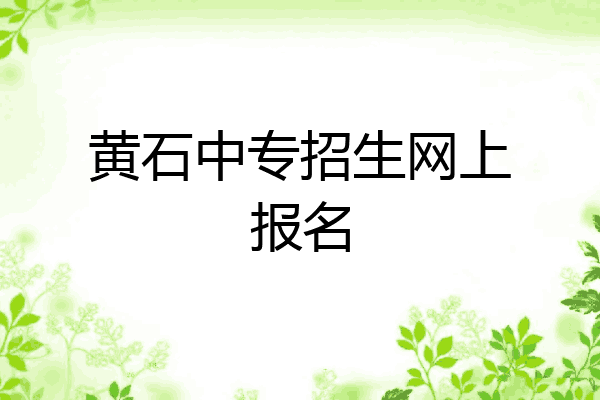 黄石中专招生网上报名