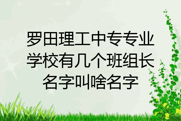 罗田理工中专专业学校有几个班组长名字叫啥名字