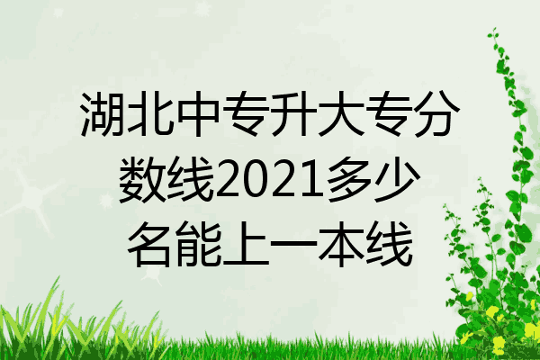 湖北中专升大专分数线2021多少名能上一本线