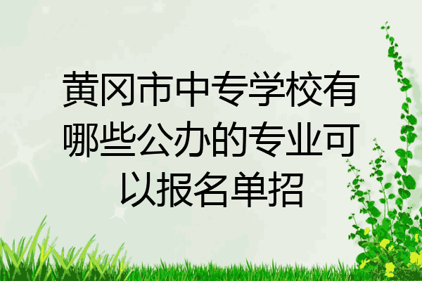 黄冈市中专学校有哪些公办的专业可以报名单招