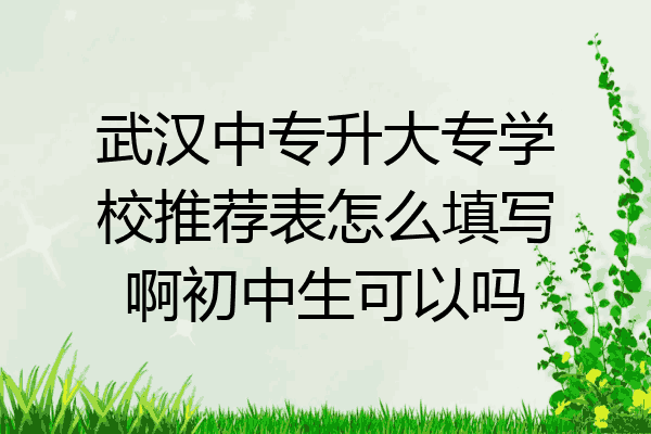 武汉中专升大专学校推荐表怎么填写啊初中生可以吗