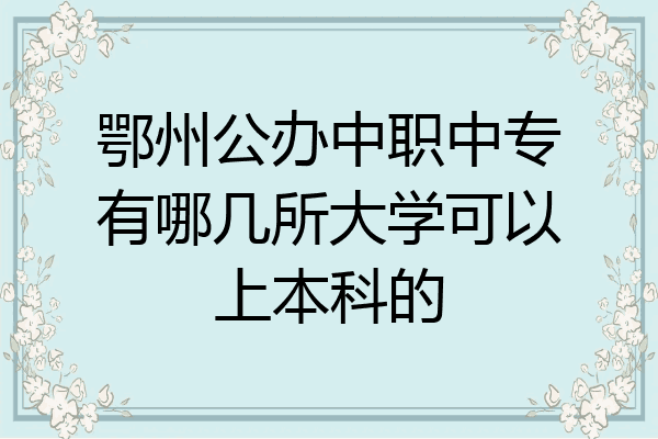 鄂州公办中职中专有哪几所大学可以上本科的