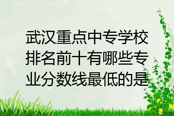 武汉重点中专学校排名前十有哪些专业分数线最低的是