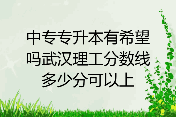 中专专升本有希望吗武汉理工分数线多少分可以上