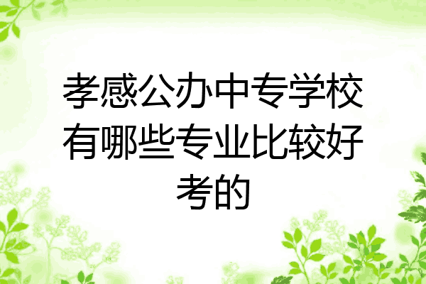 孝感公办中专学校有哪些专业比较好考的