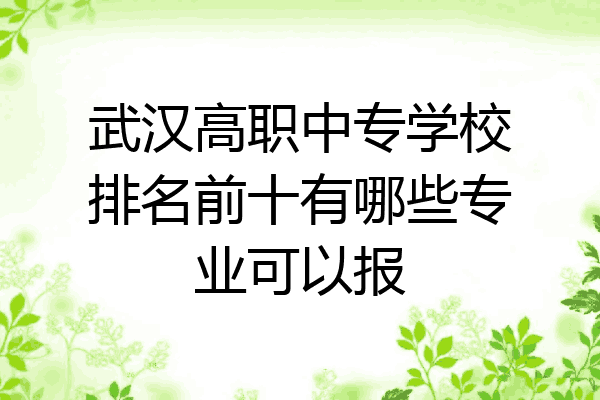 武汉高职中专学校排名前十有哪些专业可以报