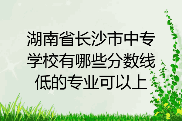 湖南省长沙市中专学校有哪些分数线低的专业可以上