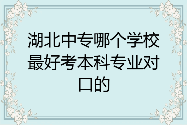 湖北中专哪个学校最好考本科专业对口的