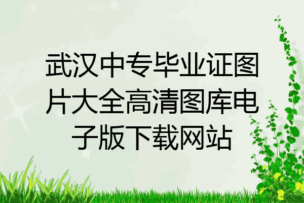武汉中专毕业证图片大全高清图库电子版下载网站