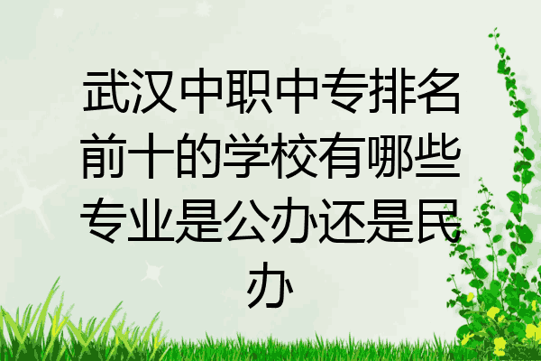 武汉中职中专排名前十的学校有哪些专业是公办还是民办