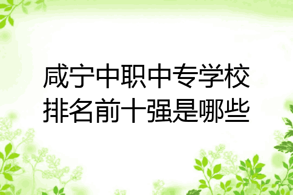 咸宁中职中专学校排名前十强是哪些