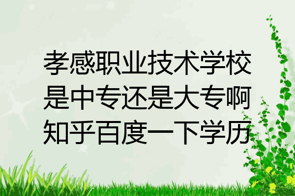 孝感职业技术学校是中专还是大专啊知乎百度一下学历