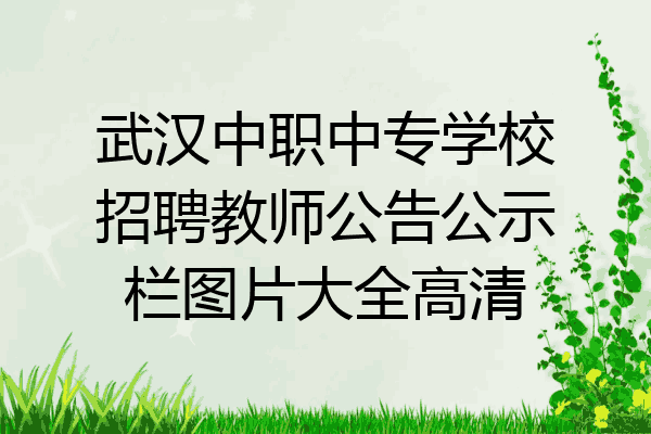 武汉中职中专学校招聘教师公告公示栏图片大全高清