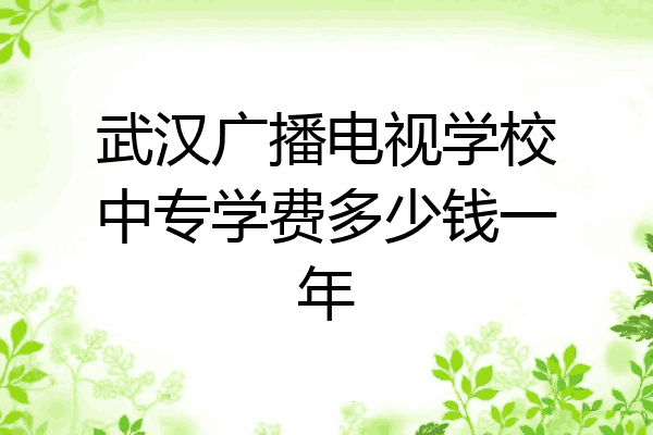武汉广播电视学校中专学费多少钱一年
