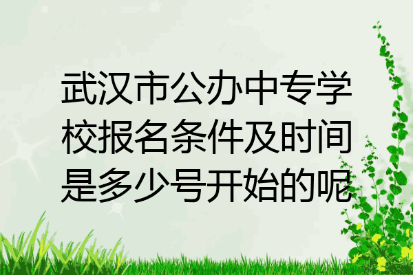 武汉市公办中专学校报名条件及时间是多少号开始的呢