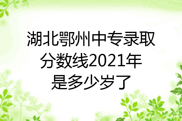 湖北鄂州中专录取分数线2021年是多少岁了