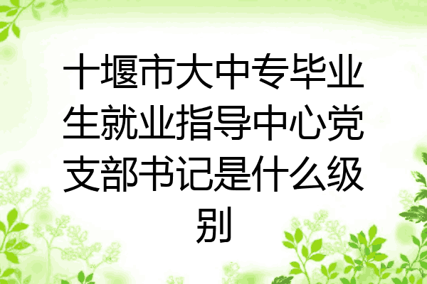十堰市大中专毕业生就业指导中心党支部书记是什么级别