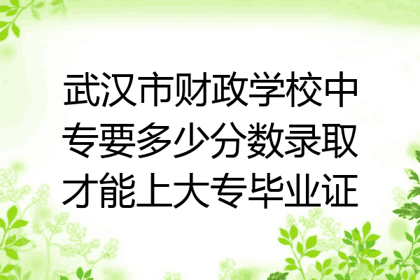 武汉市财政学校中专要多少分数录取才能上大专毕业证