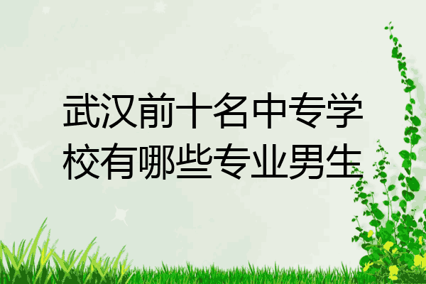 武汉前十名中专学校有哪些专业男生