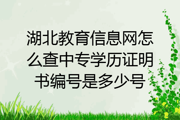 湖北教育信息网怎么查中专学历证明书编号是多少号