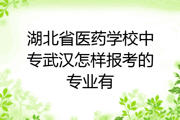 湖北省医药学校中专武汉怎样报考的专业有