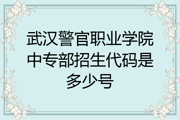 武汉警官职业学院中专部招生代码是多少号