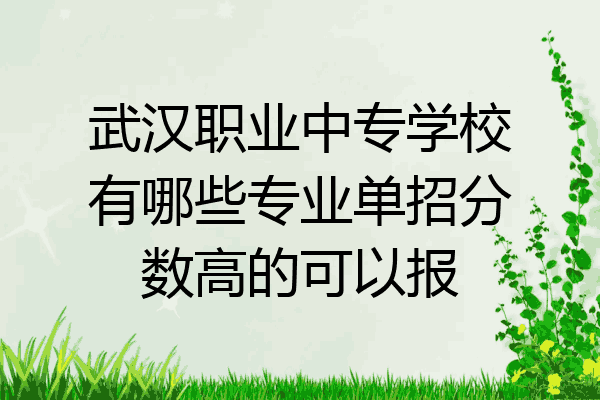 武汉职业中专学校有哪些专业单招分数高的可以报