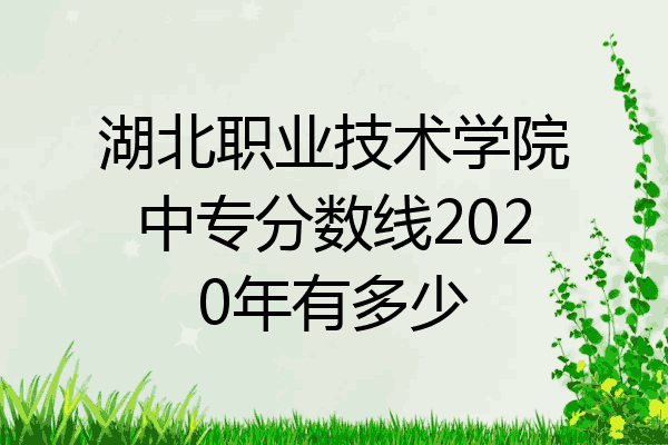 湖北职业技术学院中专分数线2020年有多少