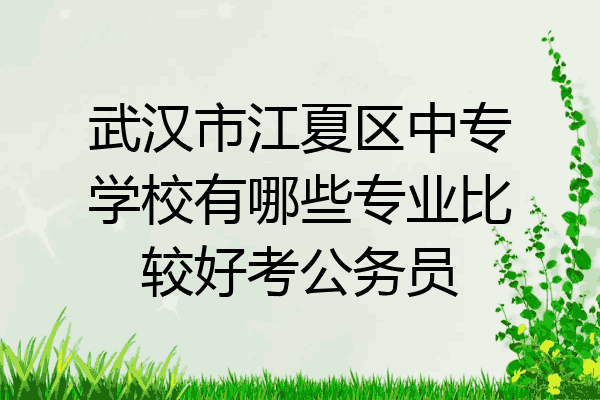 武汉市江夏区中专学校有哪些专业比较好考公务员