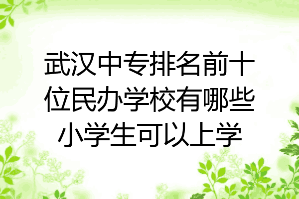 武汉中专排名前十位民办学校有哪些小学生可以上学