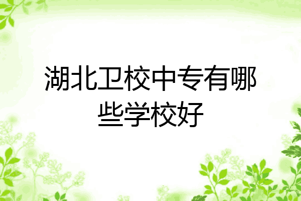 湖北卫校中专有哪些学校好