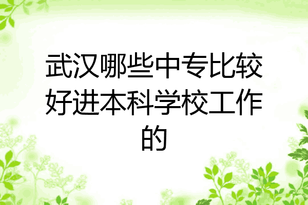 武汉哪些中专比较好进本科学校工作的