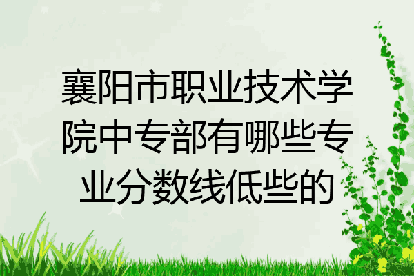 襄阳市职业技术学院中专部有哪些专业分数线低些的