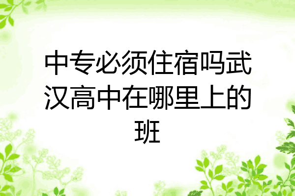 中专必须住宿吗武汉高中在哪里上的班