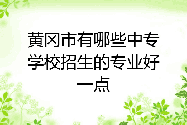 黄冈市有哪些中专学校招生的专业好一点