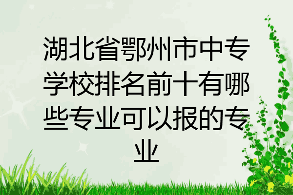 湖北省鄂州市中专学校排名前十有哪些专业可以报的专业