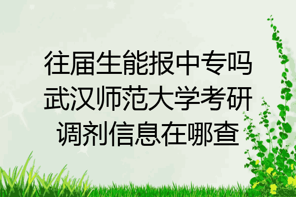 往届生能报中专吗武汉师范大学考研调剂信息在哪查