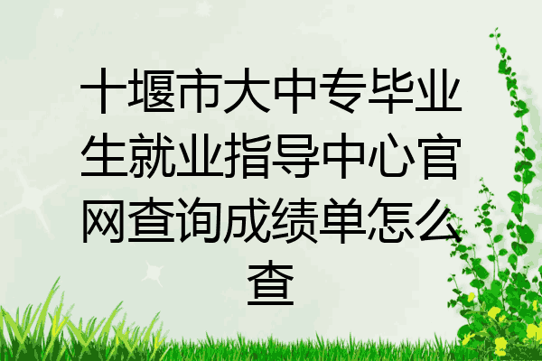 十堰市大中专毕业生就业指导中心官网查询成绩单怎么查