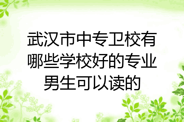 武汉市中专卫校有哪些学校好的专业男生可以读的