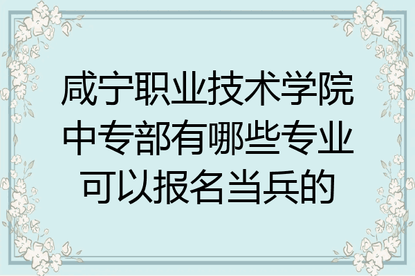 咸宁职业技术学院中专部有哪些专业可以报名当兵的