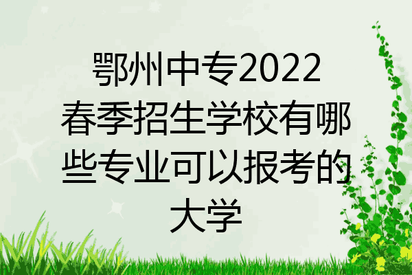 鄂州中专2022春季招生学校有哪些专业可以报考的大学