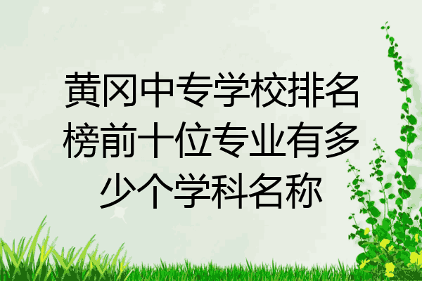 黄冈中专学校排名榜前十位专业有多少个学科名称