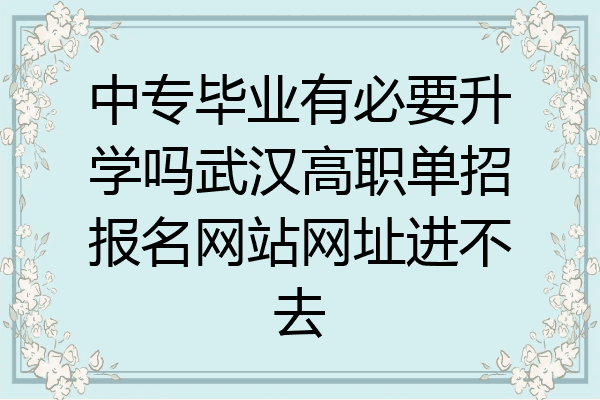 中专毕业有必要升学吗武汉高职单招报名网站网址进不去