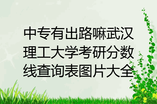 中专有出路嘛武汉理工大学考研分数线查询表图片大全