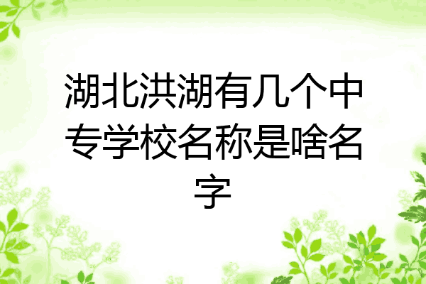 湖北洪湖有几个中专学校名称是啥名字
