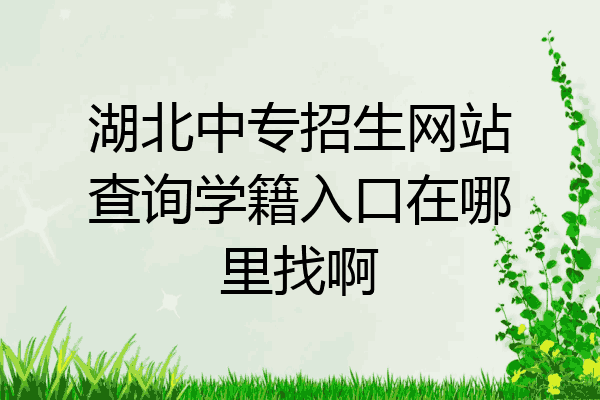 湖北中专招生网站查询学籍入口在哪里找啊