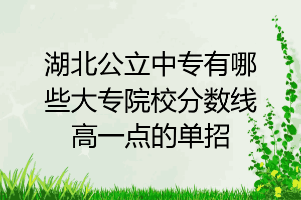 湖北公立中专有哪些大专院校分数线高一点的单招