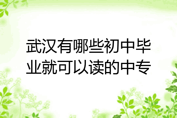 武汉有哪些初中毕业就可以读的中专