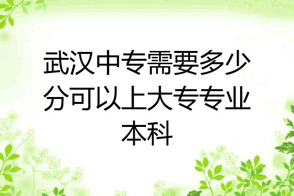 武汉中专需要多少分可以上大专专业本科