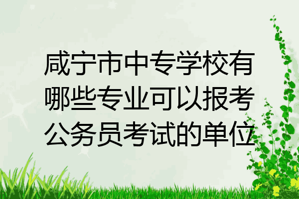 咸宁市中专学校有哪些专业可以报考公务员考试的单位